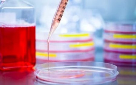 Innovating Microbiology: Explore MicrobioSci by Creative Biogene