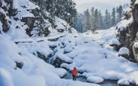 Tangmarg: Gateway to Gulmarg and Kashmir’s Hidden Beauty