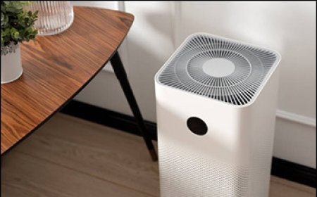 Pollution Sparks Demand: How India Air Purifier Market is Thriving