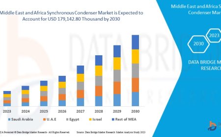 Middle East and Africa Synchronous Condenser Market Growth: Share, Value, Size, Scope, and Insights