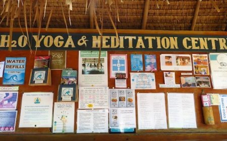 Yoga Retreats Bali: Where Wellness Meets Paradise