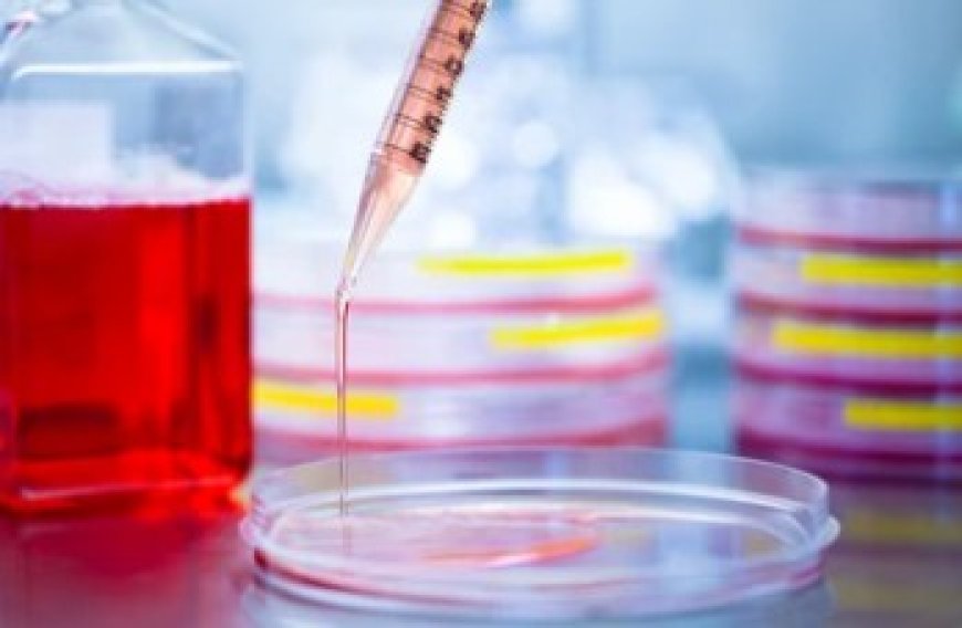 Innovating Microbiology: Explore MicrobioSci by Creative Biogene