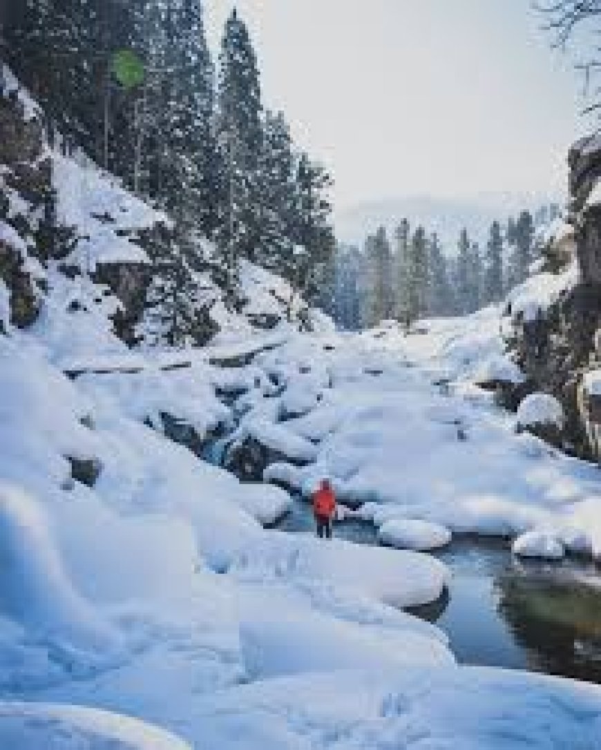 Tangmarg: Gateway to Gulmarg and Kashmir’s Hidden Beauty