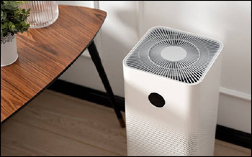 Pollution Sparks Demand: How India Air Purifier Market is Thriving