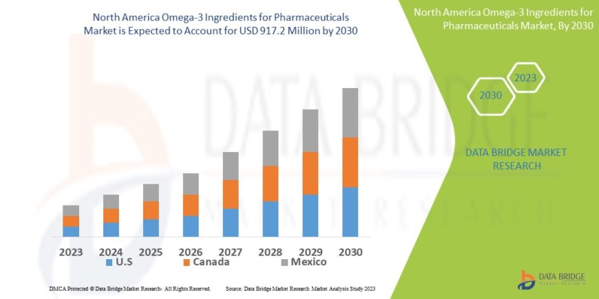 North America Omega-3 Ingredients for Pharmaceuticals Market Outlook: Growth, Share, Value, Size, and Trends