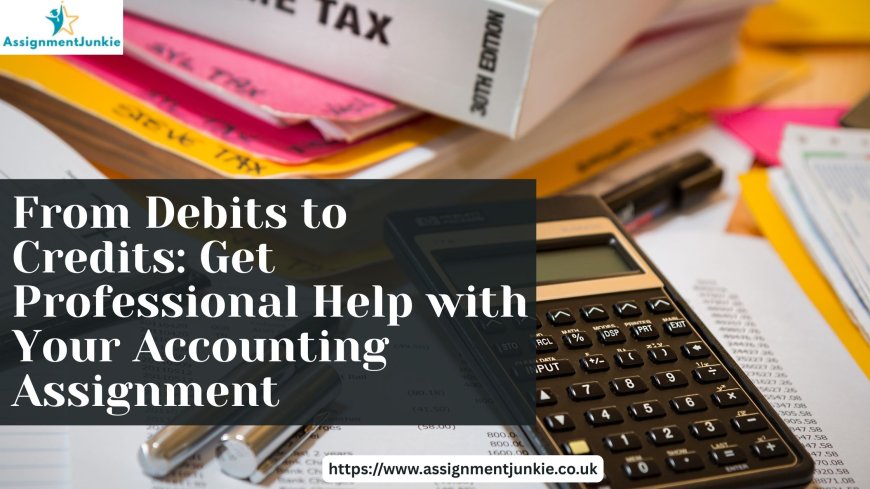 From Debits to Credits: Get Professional Help with Your Accounting Assignment