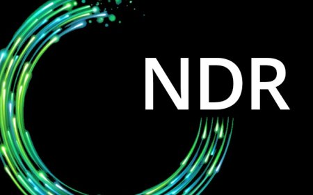 NDR for Legal Firms: Protecting Sensitive Case Files