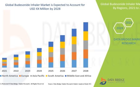 Budesonide Inhaler Market Analysis: Supply Chain, Pricing, and Forecast to 2028