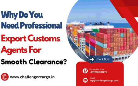 Why Do You Need Professional Export Customs Agents for Smooth Clearance?