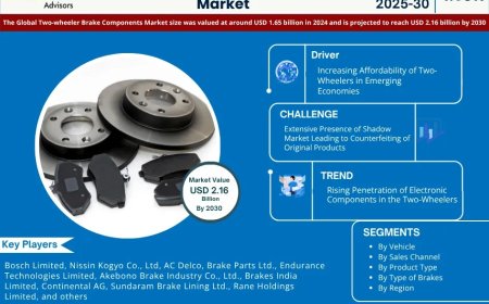 Two-wheeler Brake Components Industry Forecast 2025–2030: Trends, Value & Analysis