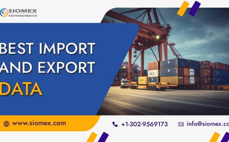 USA Wheat Export Performance: Key Trends and Insights