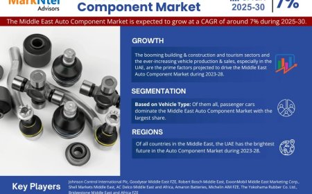 Middle East Auto Component Market Overview 2025–2030: Share, Size & Future Trends