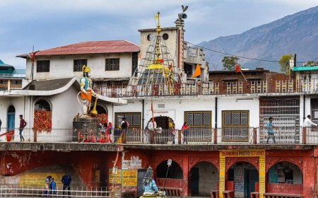 Explore the Hills with These Himachal Pradesh Tour Packages