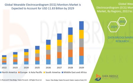 Wearable Electrocardiogram (ECG) Monitors Market Size, Status and Industry Outlook During 2029