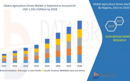 Agriculture Drone Market Size, Status and Industry Outlook During 2028