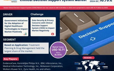 Clinical Decision Support System (CDSS) Market Overview 2024–2030: Share, Size & Future Trends