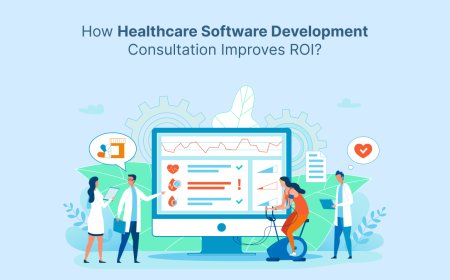 How Healthcare Software Development Consultation Improves ROI?