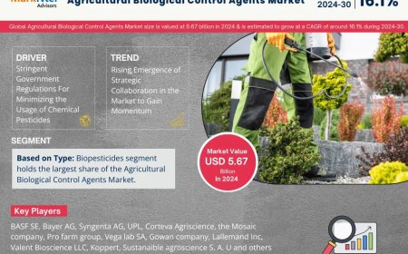 Agricultural Biological Control Agents Market Overview 2024–2030: Share, Size & Future Trends