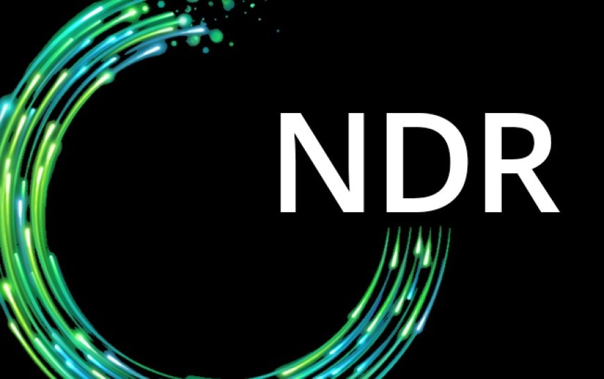 NDR for Legal Firms: Protecting Sensitive Case Files