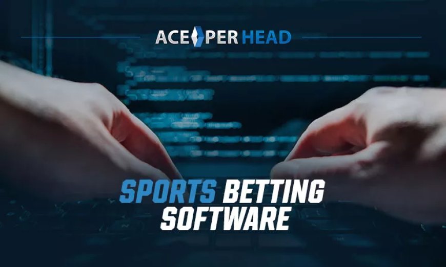 5 Reasons Why Sports Betting Software is Essential for a Successful Sportsbook