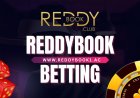 ReddyBook Cryptocurrency Payments: Is Bitcoin Betting Available?